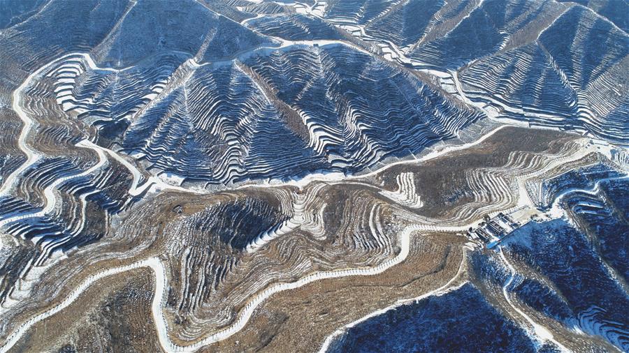 (環境)(1)雪后梯田景如畫